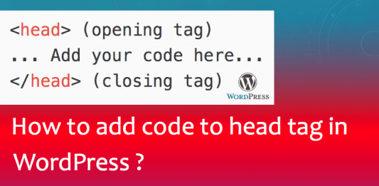 How to add code to head tag in wordpress ?